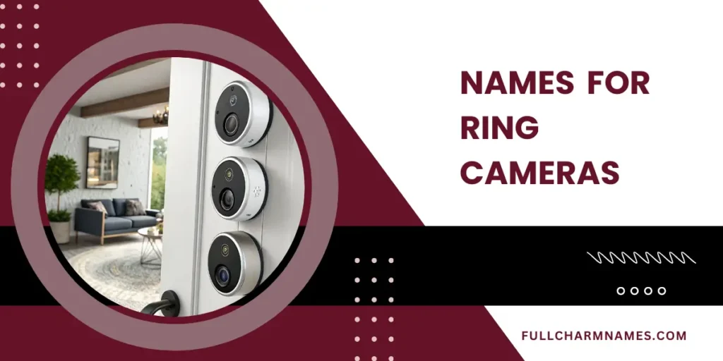 Names For Ring Cameras
