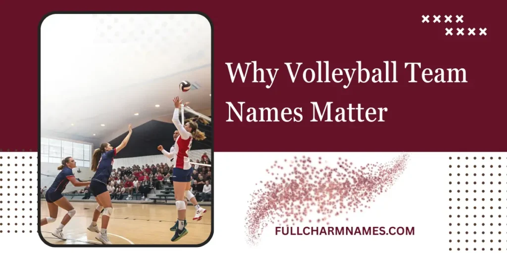 Why Volleyball Team Names Matter