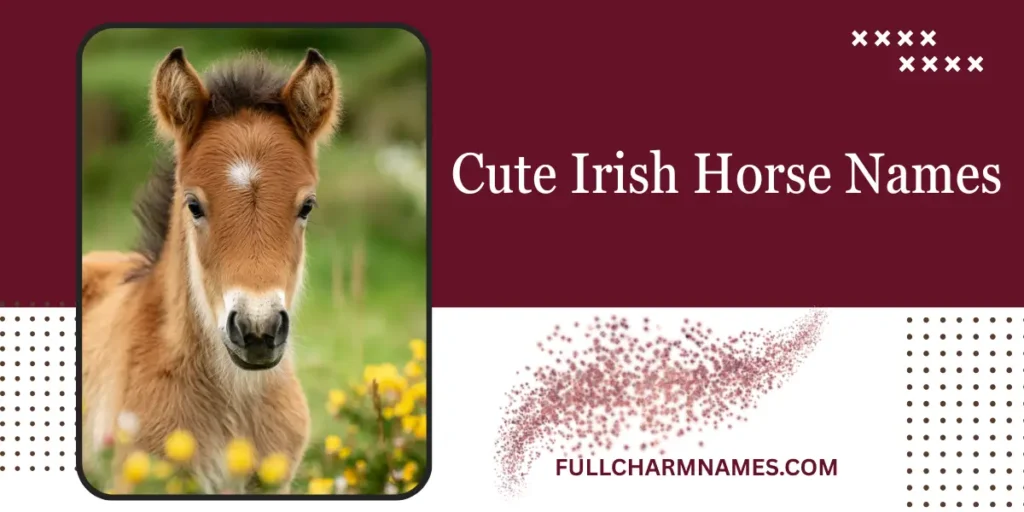 Cute Irish Horse Names