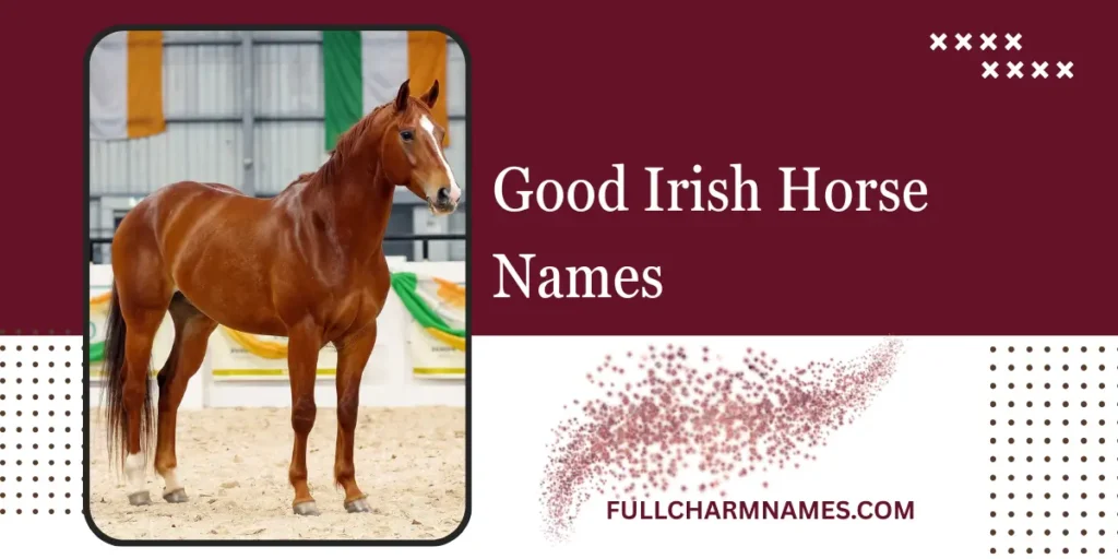 Good Irish Horse Names