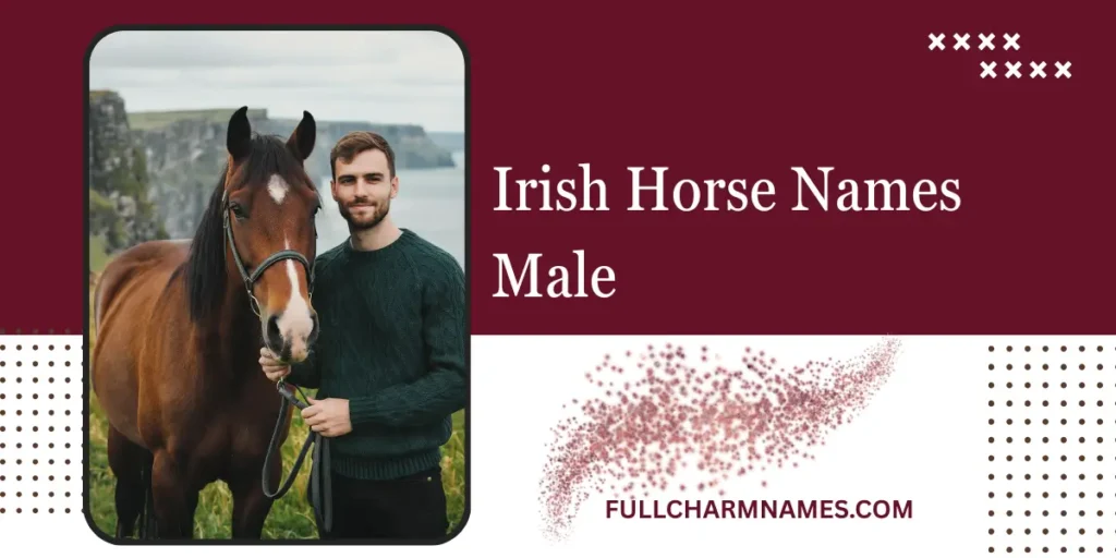 Irish Horse Names Male