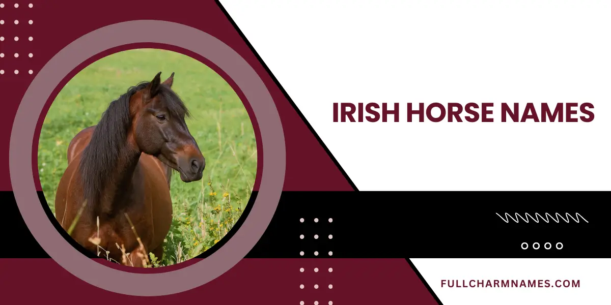 Irish Horse Names