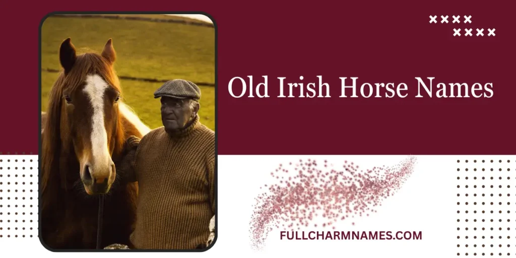 Old Irish Horse Names