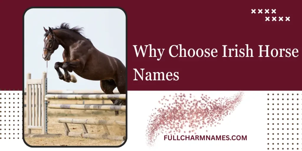 Why Choose Irish Horse Names