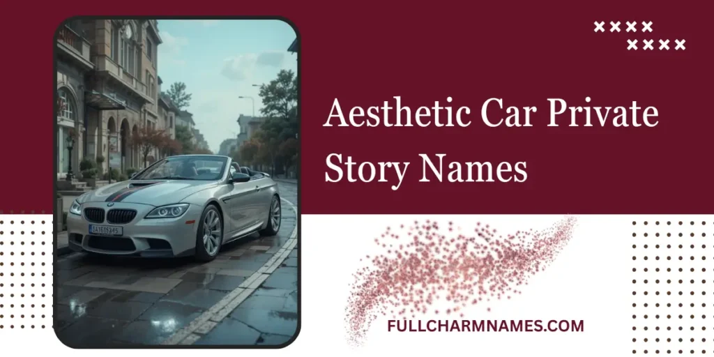 Aesthetic Car Private Story Names