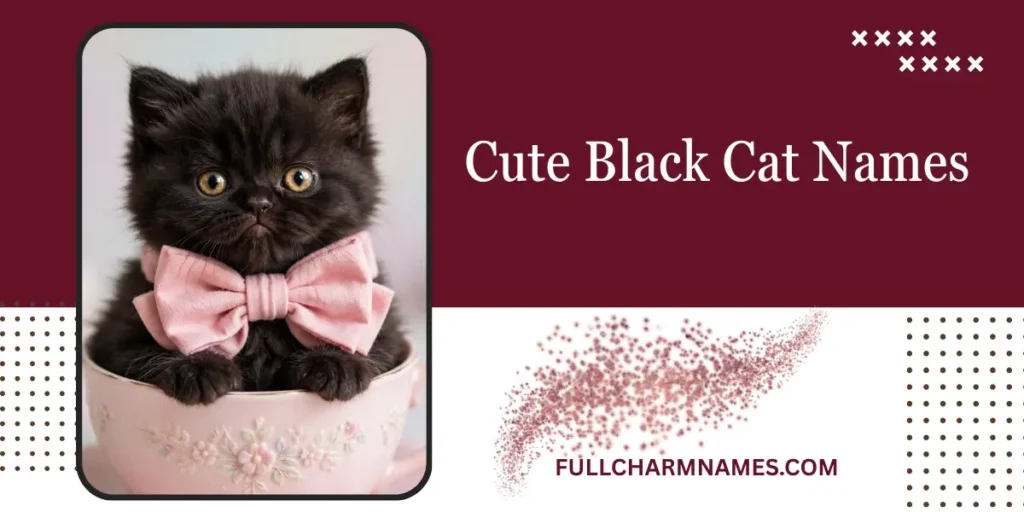 Cute Black Cat Names