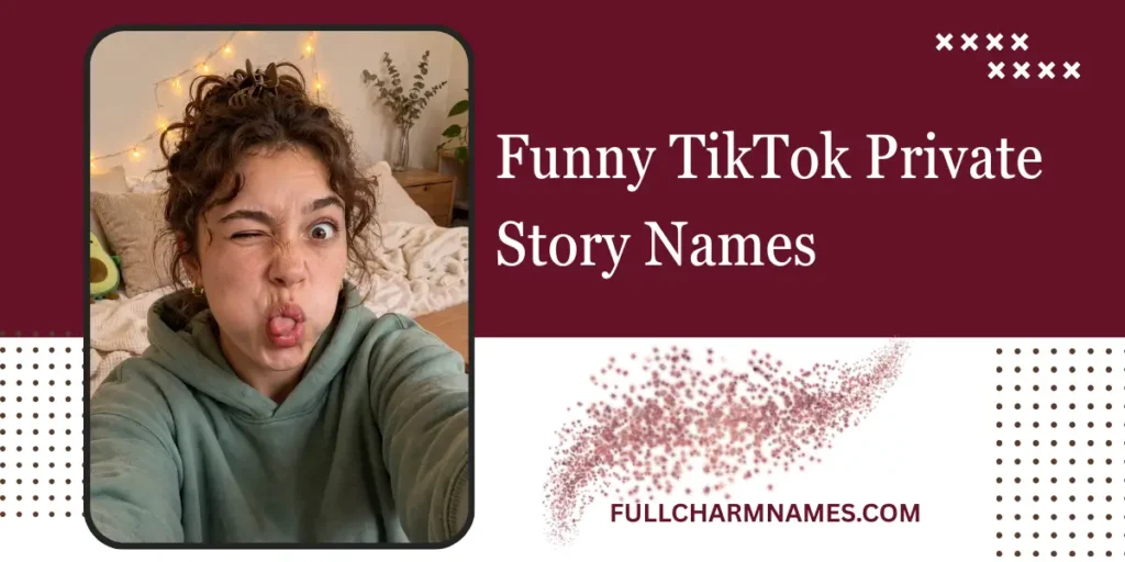 Funny TikTok Private Story Names