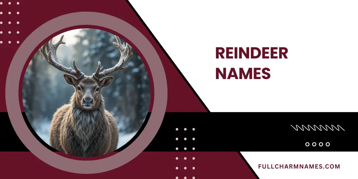 Reindeer Names