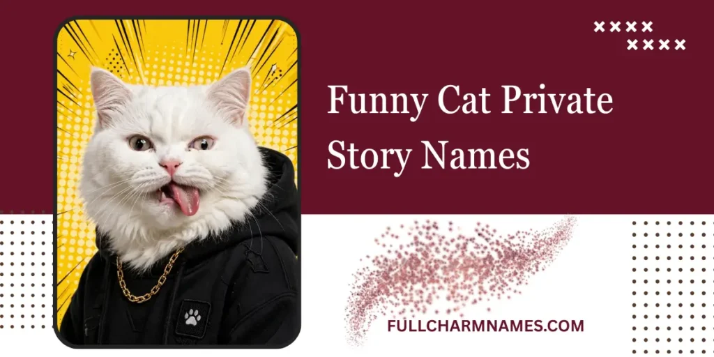 Funny Cat Private Story Names